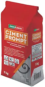 Ciment prompt pour travaux courants de maçonnerie 5 kg Parexlanko
