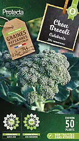Graines de chou brocoli variété "Calabrais" Protecta semis de mars à juin