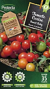 Graines de tomate variété "Cerise Sweet baby" Protecta semis de janvier à avril