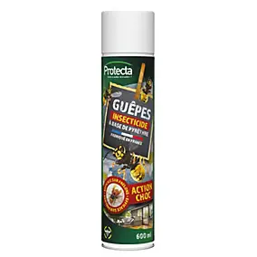 Aérosol anti-guêpes TP18 600 ml Protecta