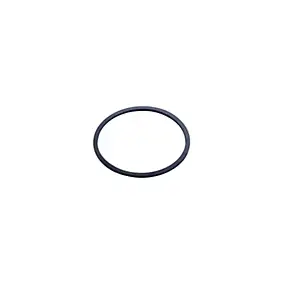Joint caoutchouc pour culot siphon Noyon & Thiebault 54X60X2mm