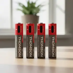Lot de 4 piles lithium rechargeables AAA LR03 1,5 V avec câble USB-C POWER+