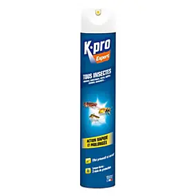 Aérosol tous insectes Kapo Expert 500 ml