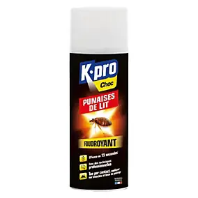 Aérosol anti punaises de lit Kapo 400 mL