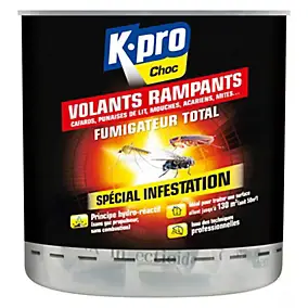 Fumigateur spécial infestation volants rampants Kapo choc 400 ml
