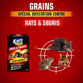 Grains spécial infestation contre rats et souris K-Pro