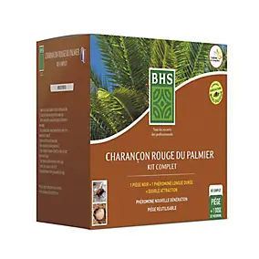Kit piège charançon rouge du palmier