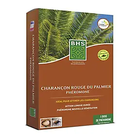Recharge piège charançon rouge du palmier