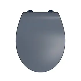 Abattant WC gris anthracite brillant Slim Bemis