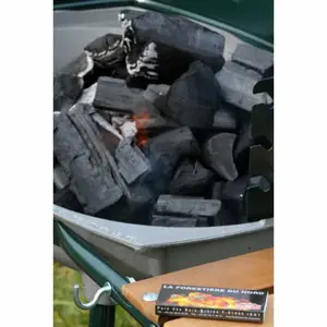 Charbon de bois 20 litres