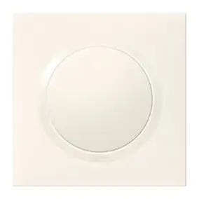Plaque de finition 1 poste Legrand Dooxie 6 009 01 coloris blanc l.87 x P.10 x H.87 mm