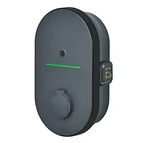 Pack borne de recharge pour voiture électrique Legrand Green up Home - prêt à poser