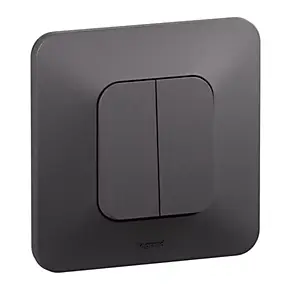 Double interrupteur ou va-et-vient Neptune 10A noir, bornes automatiques, Legrand