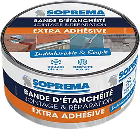 Bande d'étanchéité Extra Auto-adhésive 5x0,05m Aluminium
