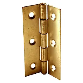 2 charnières laiton Diall 30 x 19 mm