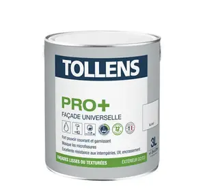 Peinture façade blanc mat 3L
