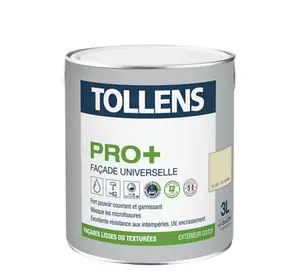 Peinture façade ton pierre mat Tollens Pro 3L