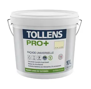 Peinture façade ton pierre mat Tollens Pro 10L