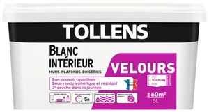 Peinture bicouche murs, plafonds et boiseries intérieure acrylique velours blanc 5 L