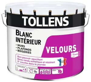 Peinture bicouche murs, plafonds et boiseries intérieure acrylique velours blanc 10 L
