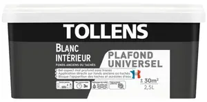 Peinture intérieure monocouche plafonds tachés Blanc Mat 2.5 L