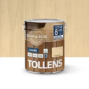 Lasure extérieure Soin du bois Tollens incolore satin 5L