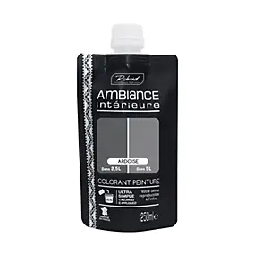 Colorant pour peinture Doypack Ambiance intérieure ardoise 250ml