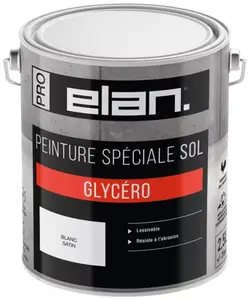 Peinture extérieur sol satin 2,5 L blanc