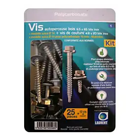 25 vis autoperceuse pour plaque polycarbonate
