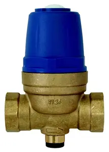 Réducteur de pression à membrane femelle 15x21 mm
