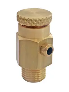 Purgeur d'air à volant pour radiateur - M5/10 (1/8")
