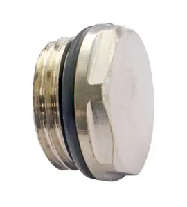 Bouchon obturateur de radiateur 15/21 en laiton nickelé