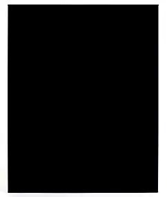 Plaque de protection murale Dixneuf 120 x 81 cm noir