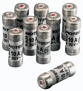 Fusible à voyant 10a par lot de 10
