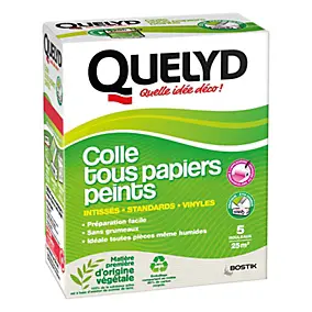 Colle en poudre - adaptée pour tout papiers peints - surface de couverture 32 m² - Quelyd 30601377