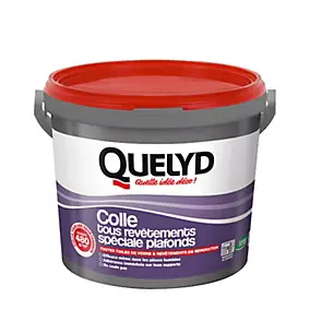 Colle spéciale plafonds - toile de verre et revêtements de rénovation Quelyd pâte 6kg