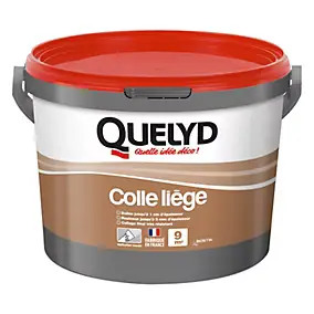 Colle Murale Quelyd pour Liège Pâte 3 kg