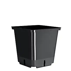 Godets plastique Jany 9 x 9 x h.9,5 cm (lot de 15)
