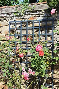 Treillis carré en pin anthracite 100 x h.197 cm