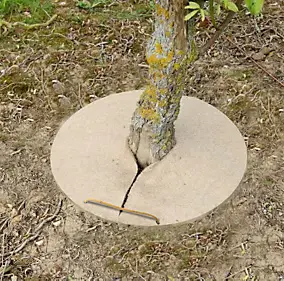 Paillage de chanvre forme ronde Ø20 cm