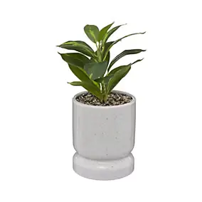 Plante verte artificielle pot en céramique H.30cm Atmosphera Créateur D'Intérieur