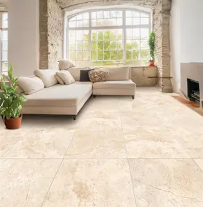 Carrelage de sol intérieur "Fontainebleau" l. 60 x L. 60 cm