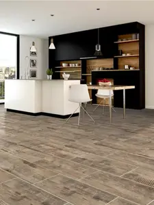 Carrelage de sol intérieur Avoriaz chêne - l. 30 x L. 60,3 cm
