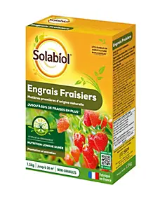 Engrais fraisiers Solabiol 1,5kg prêt à l'emploi