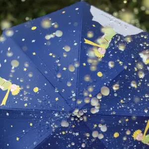 Parapluie Le Petit Prince