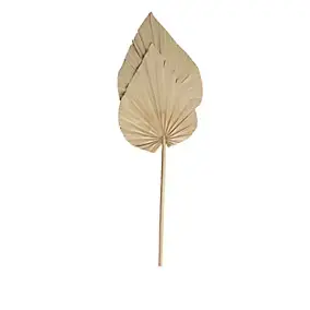 Feuilles décoratives de palmier sechées XL H.70cm, 2 pièces JBY creation