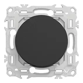 Va-et-vient ou poussoir, 10AX, noir onyx, Odace