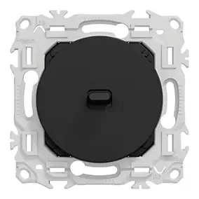 Va-et-vient ou poussoir à levier, 10AX, noir onyx, Odace