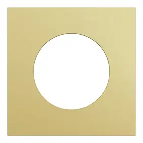 Plaque de finition 1 poste, effet laiton support noir, Odace Architecte