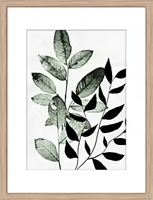 Image encadrée feuilles l.30 x L.40 Dada Art